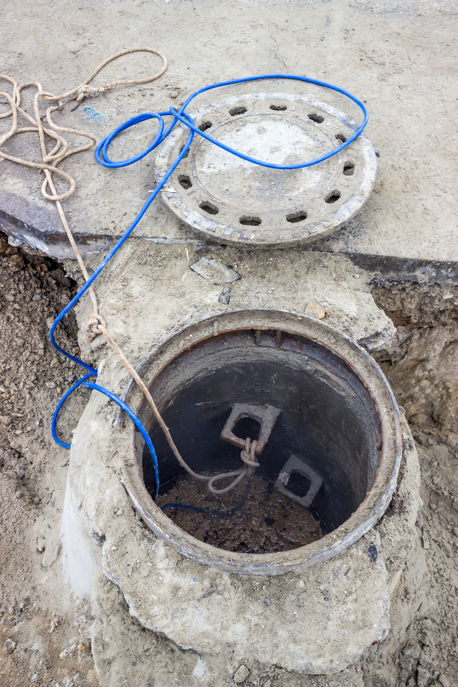 sewer line clogs