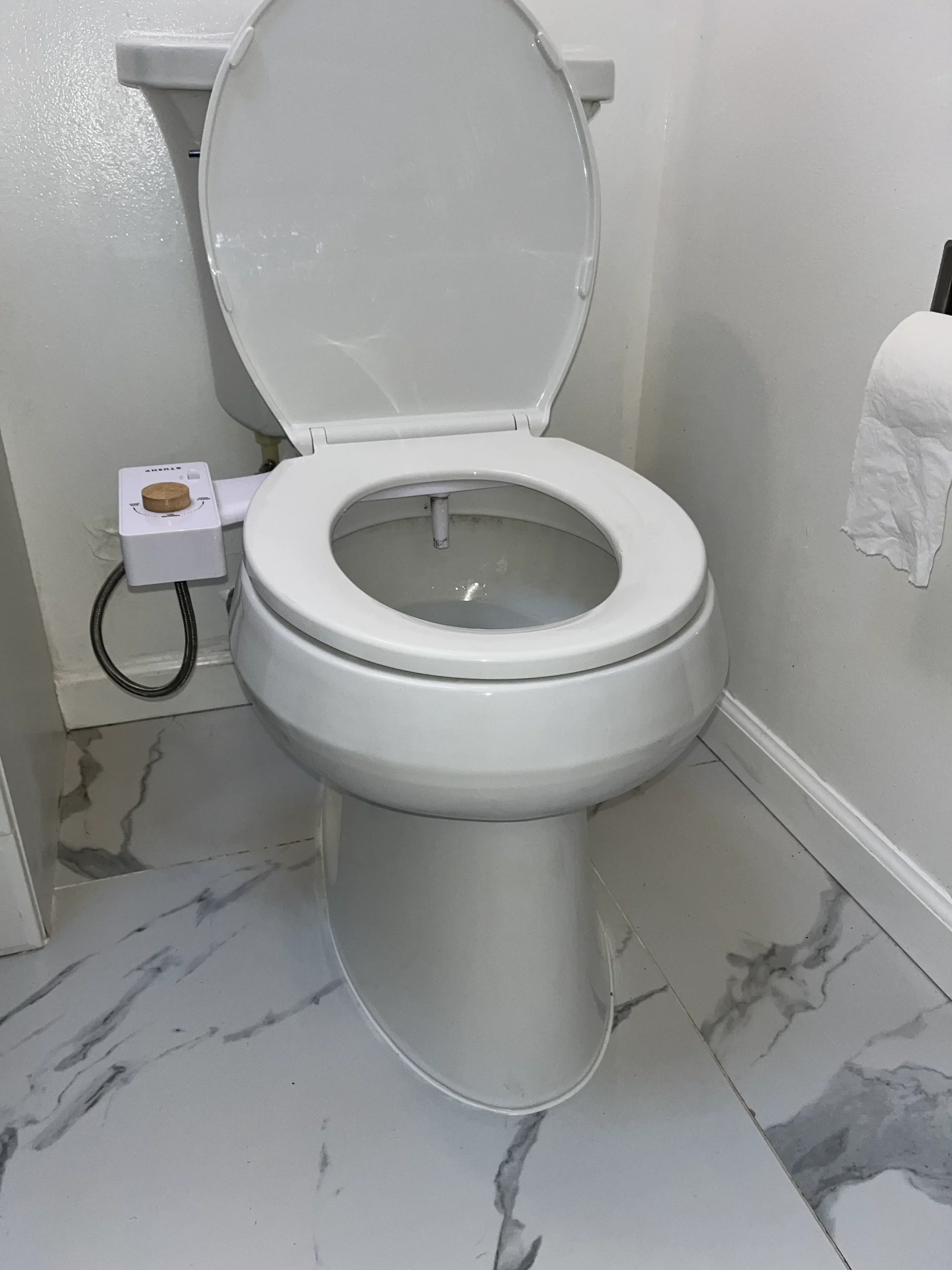 A new toilet installed in a Santa Clara home.