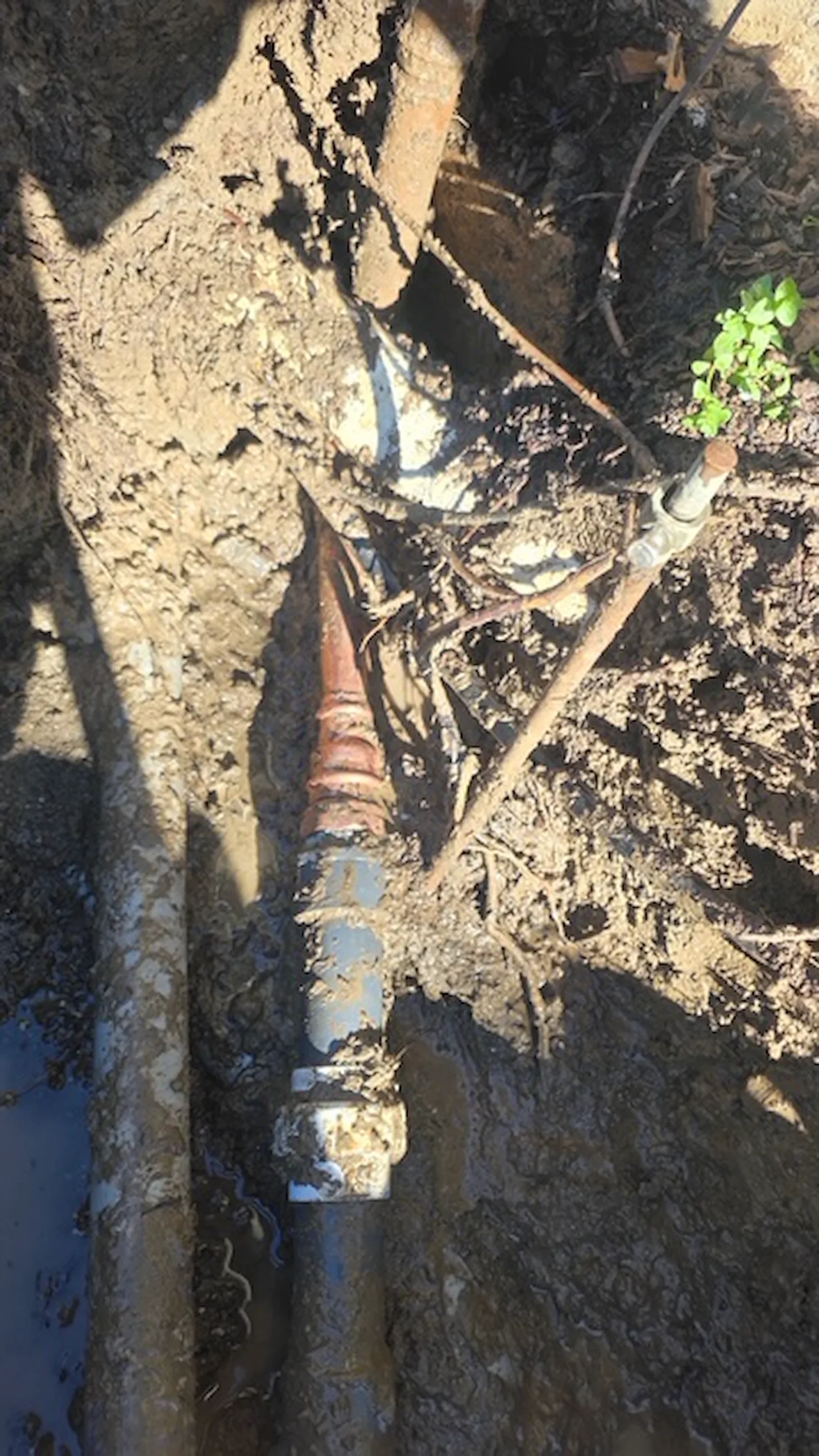 An old water service line uncovered during a repair at a Saratoga, California home